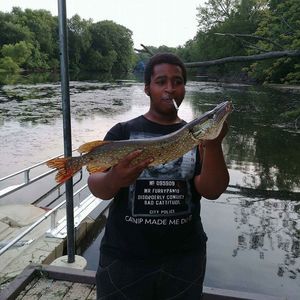 Meet your Posher, Warren